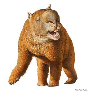 diprotodon